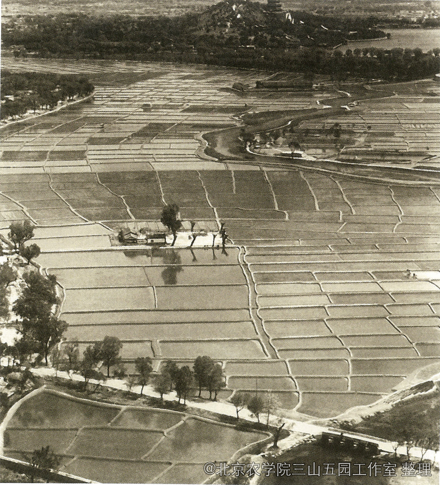 xiugai 颐和园和玉泉山之间的稻田.jpg