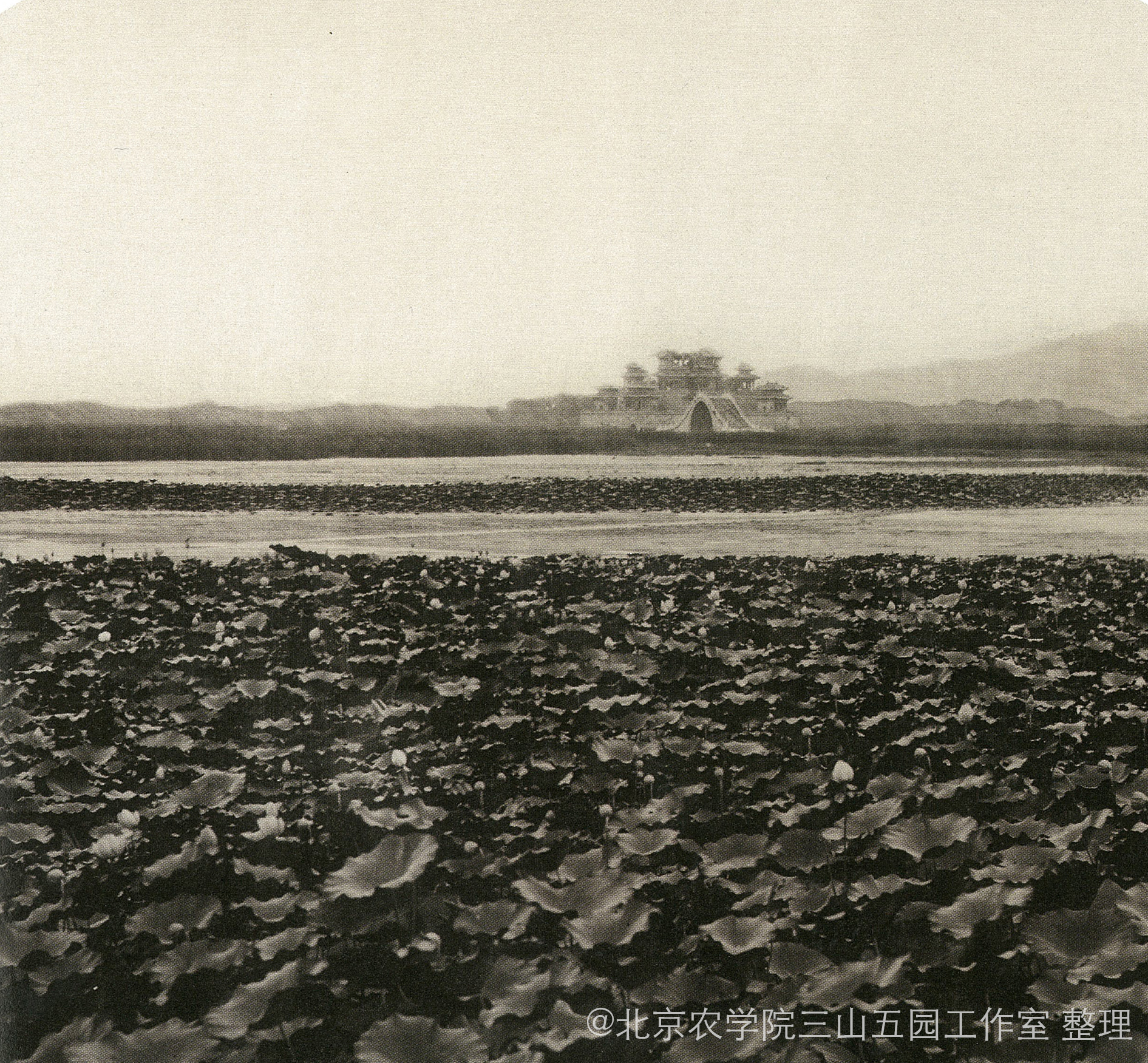 xiugai治镜阁.jpg