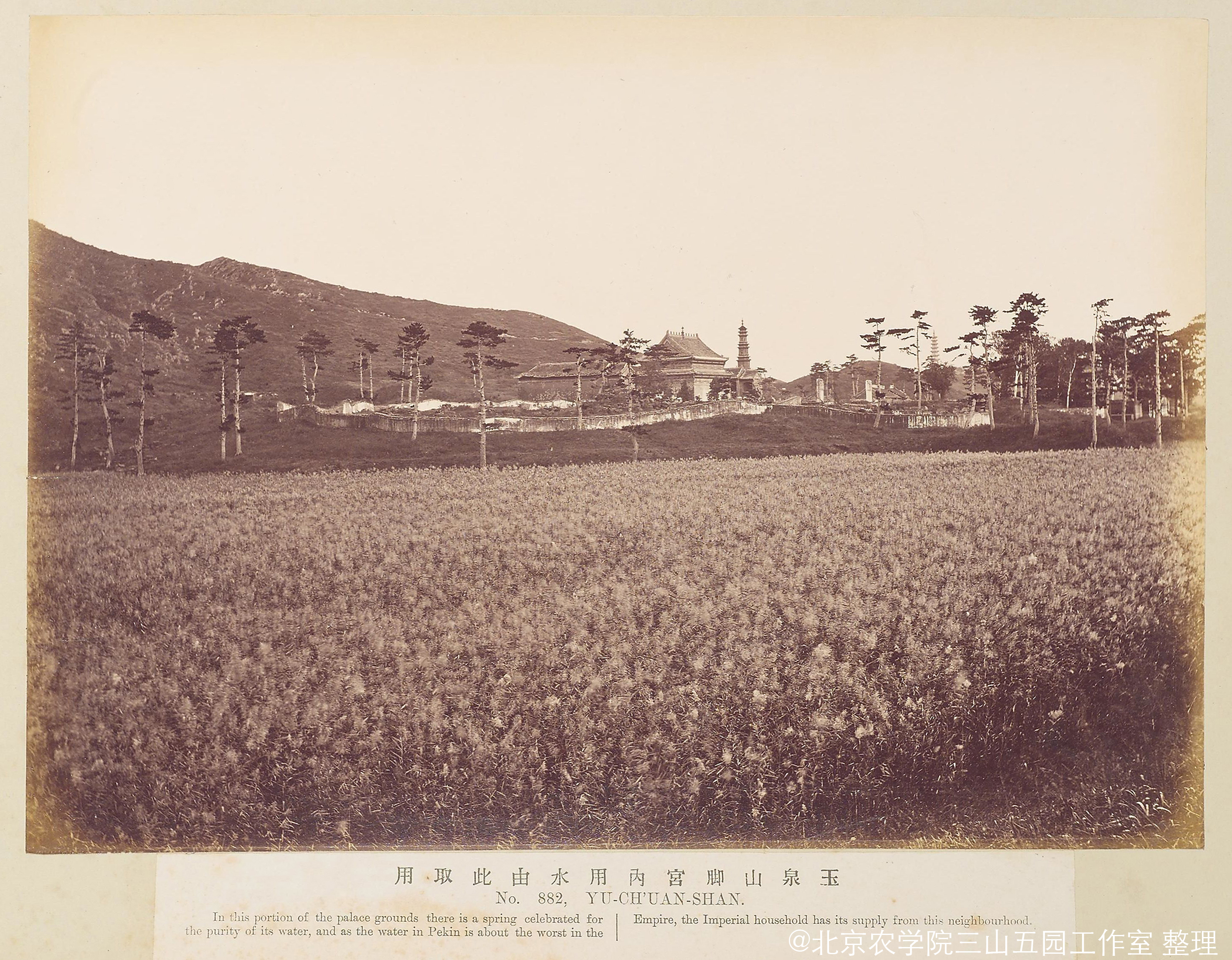 静明园东麓19世纪1879年赫达·莫里逊(德)来源《中国景观》.jpg